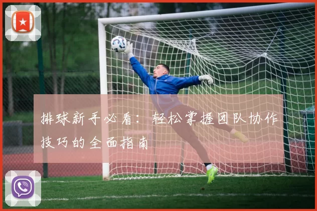 排球新手必看：轻松掌握团队协作技巧的全面指南