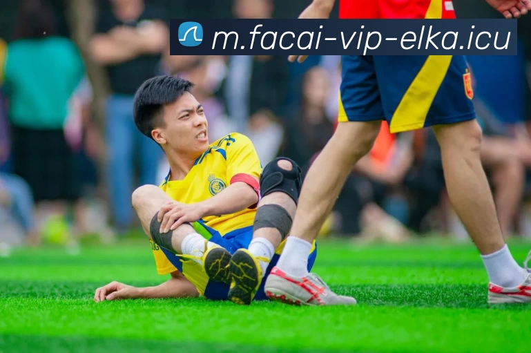 米兰体育平台生态图