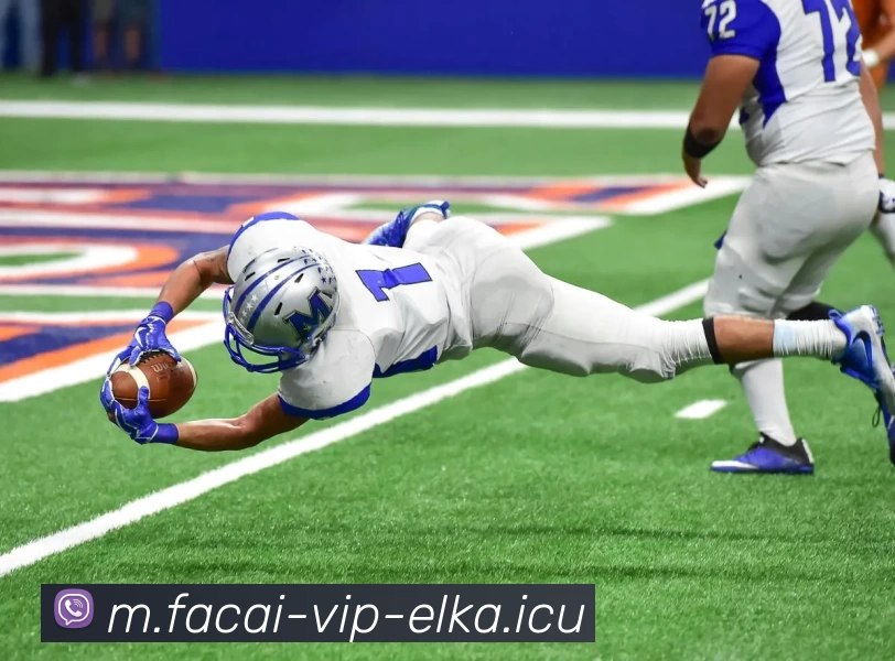 米兰体育全站App